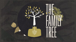 The Family Tree