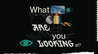 What Are You Looking At?