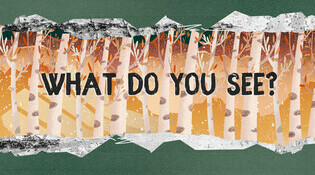 What Do You See?